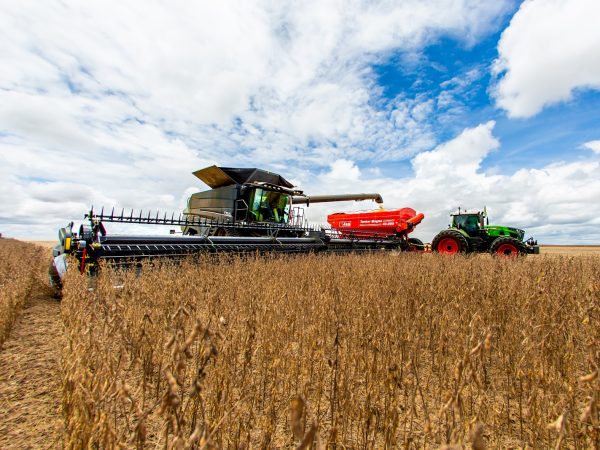 Protegendo o Futuro: Um Guia Completo Sobre Seguro Agrícola e de Colheita