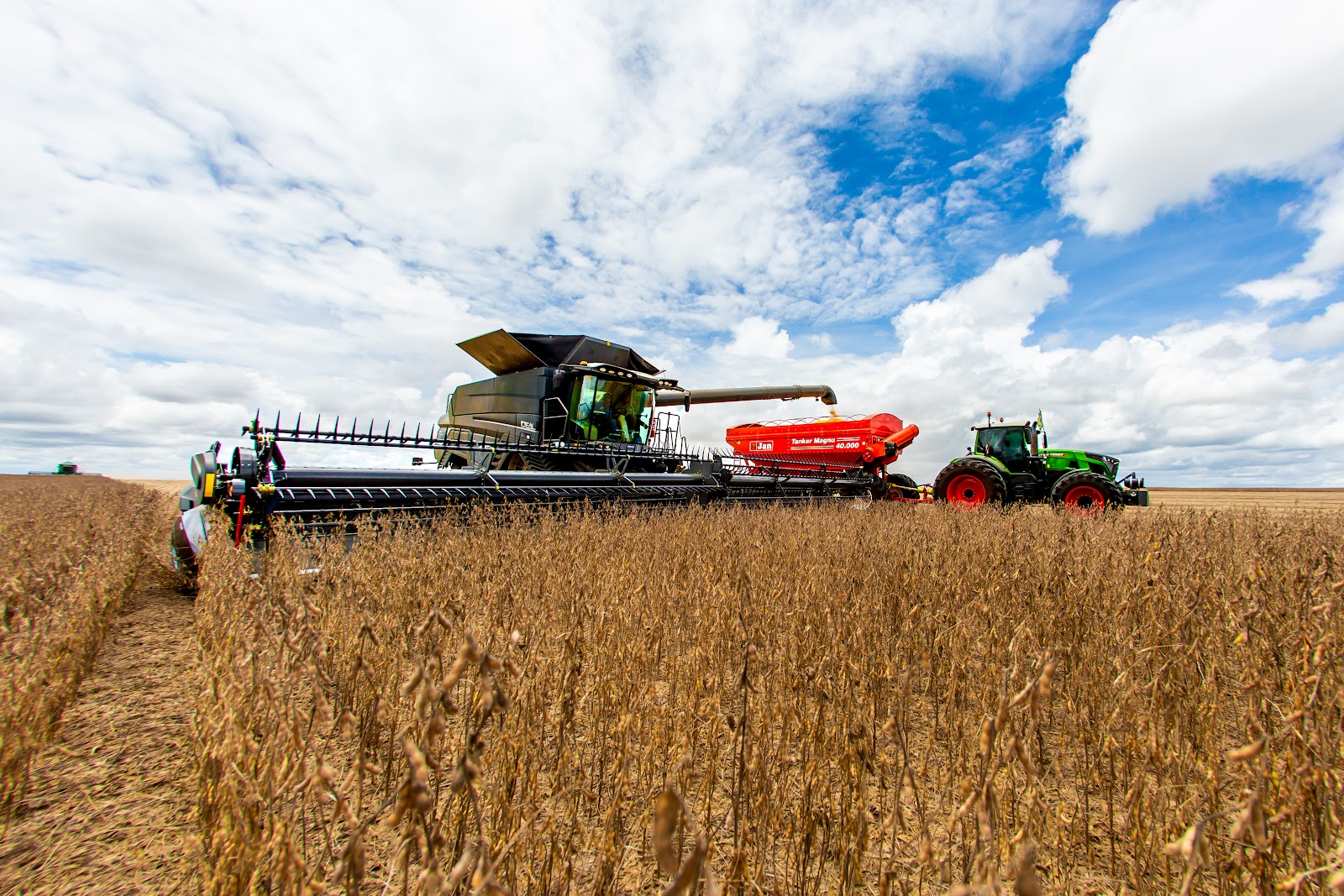 Protegendo o Futuro: Um Guia Completo Sobre Seguro Agrícola e de Colheita