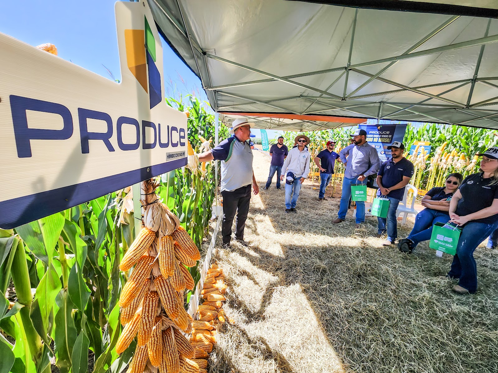 A Revolução do Agronegócio: Consultorias que Transformam Produções