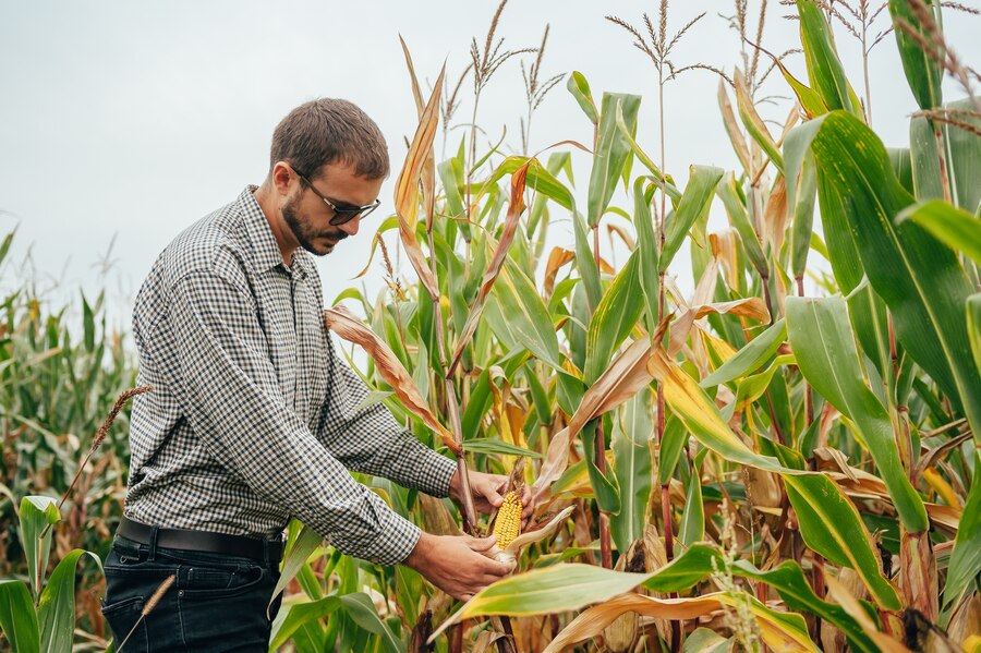 Descubra os Produtos Agro Mais Inovadores para Melhorar a Produção