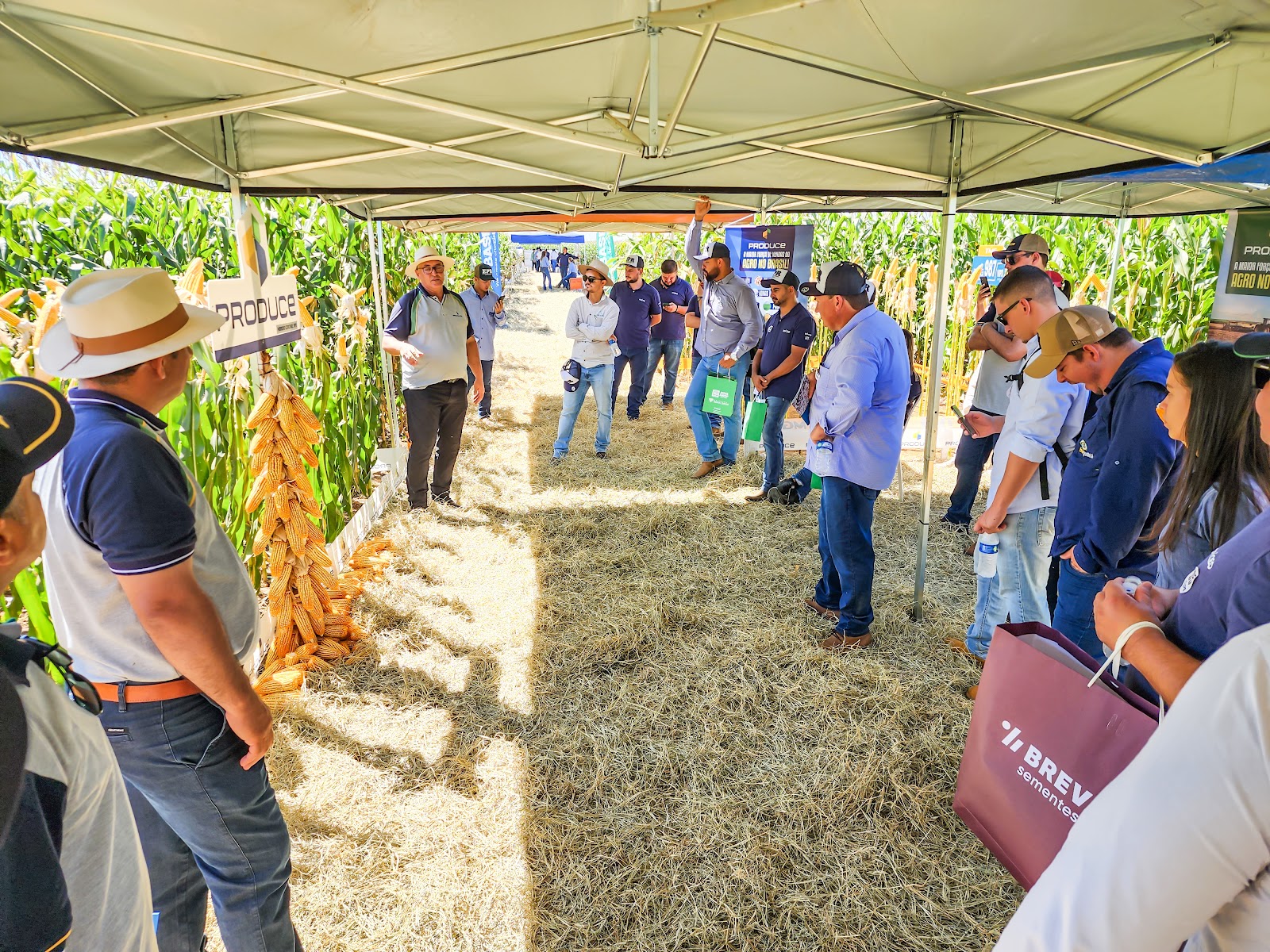 Transforme a Sua Propriedade com Consultorias Agrícolas Especializadas