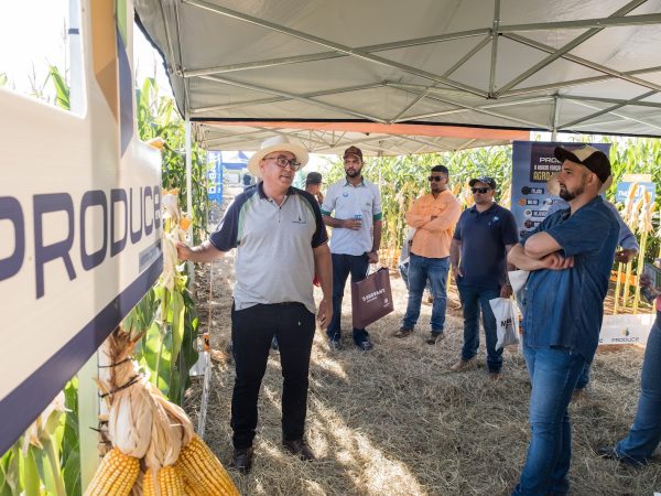 Como a Consultoria Agrícola Pode Potencializar a Produção do seu Campo?