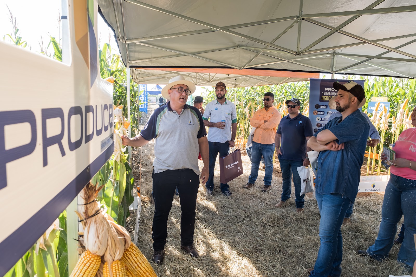 Como a Consultoria Agrícola Pode Potencializar a Produção do seu Campo?