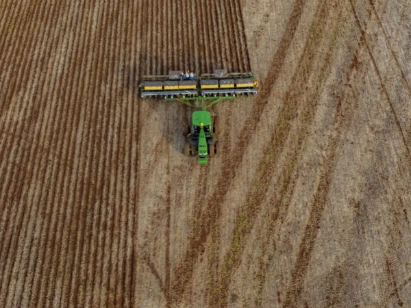 Negócios no Campo: Maneiras Eficientes para Empreender no Agronegócio