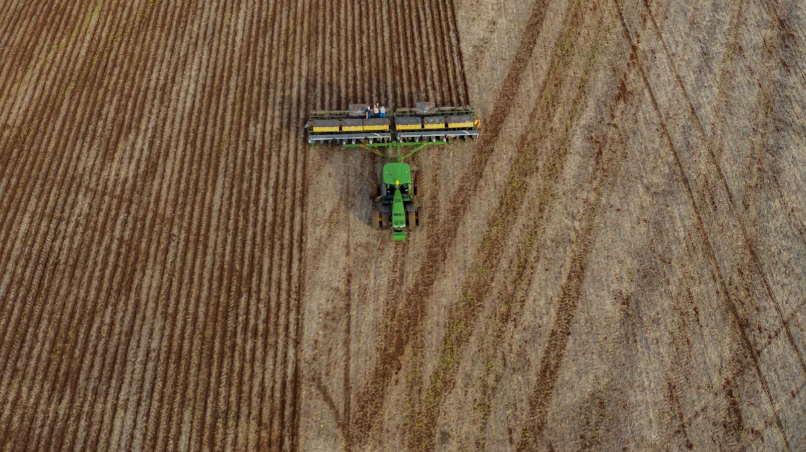 Negócios no Campo: Maneiras Eficientes para Empreender no Agronegócio